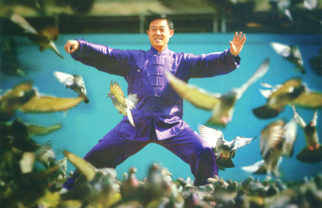 Grandmaster Chen Zhenglei practicing outdoors among flying pigeons