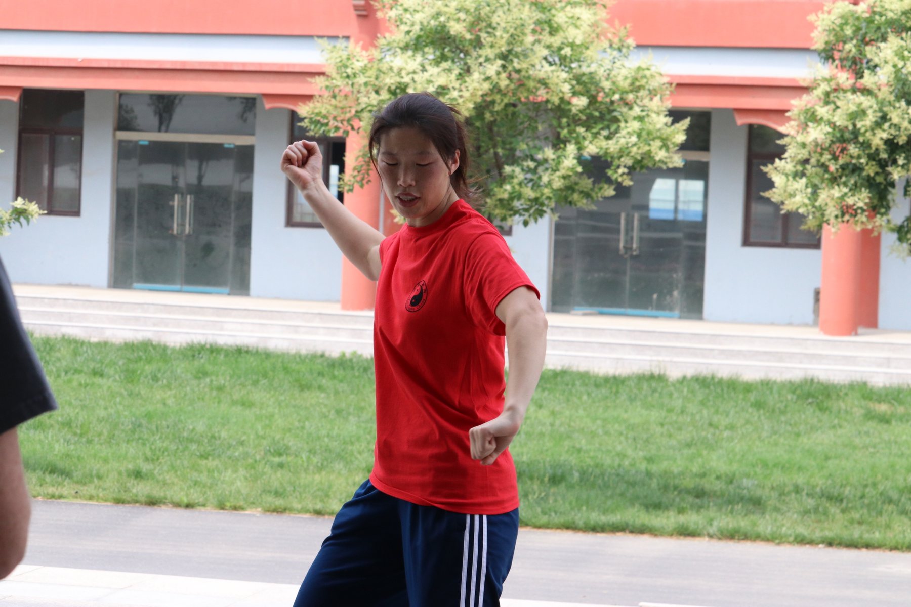 Master Chen Huixian demonstrating a Chen Taijiquan hand transition
