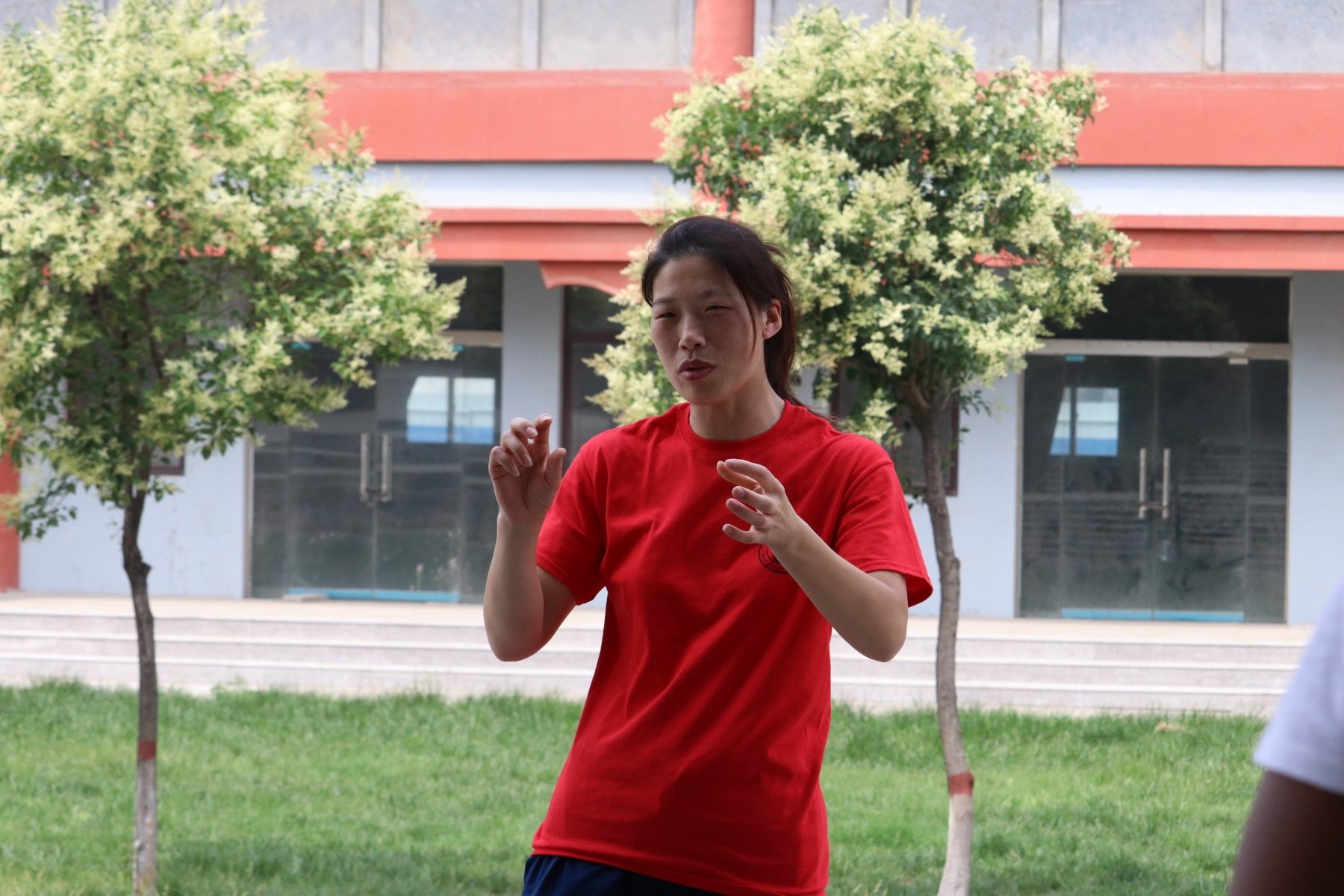 Master Chen Huixian demonstrating martial intent in a Laojia posture