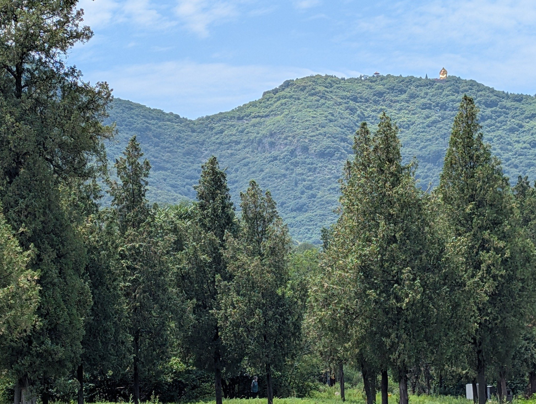 Forested Songshan Mountains near Shaolin Temple